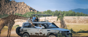 Explore UAE’s Largest Zoo With 4,000+ Animals & Safari Rides From Less Than AED 30!