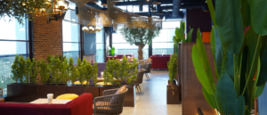 Dubai’s First-Ever Indian Tapas Bar & Shisha Lounge Has Opened In Business Bay