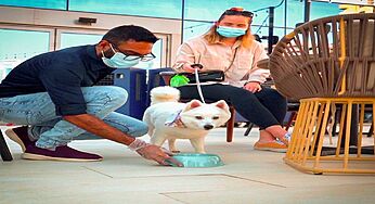 Lah Lah Pan Asian Kitchen & Bar Is Letting You Get Along Your Dogs