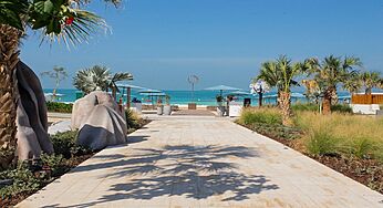 Cove Beach Is Coming Up With A New Venue