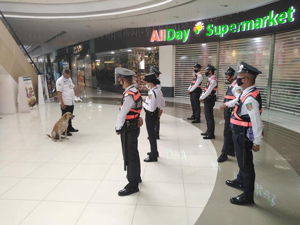 A Stray Dog Outside A Mall In Philippines Gets Hired As A Security Guard