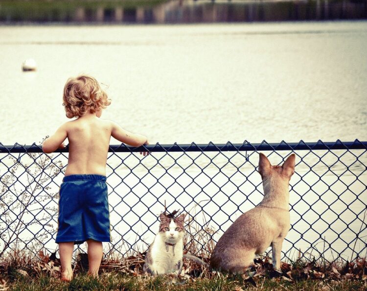 How Pets Can Help To Improve Your Mental Heath?