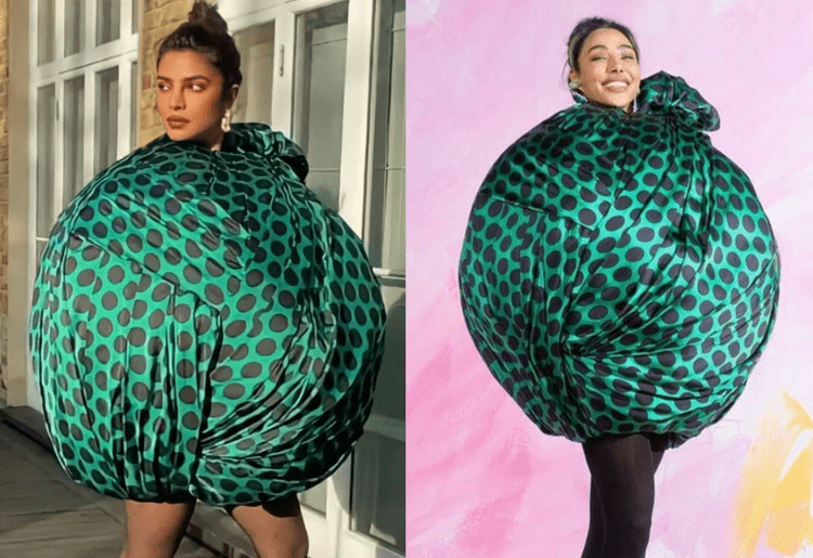 5 Funniest Tweets on Priyanka Chopra’s Puffer Dress