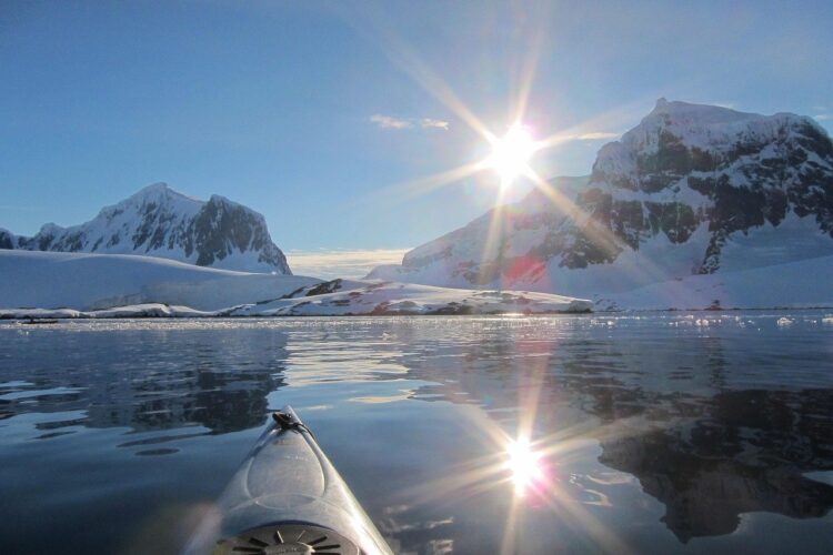 Scientists Have Found Lifeforms Under Antarctic Ice That Should Not Have Been There