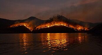 All About Forest Fires