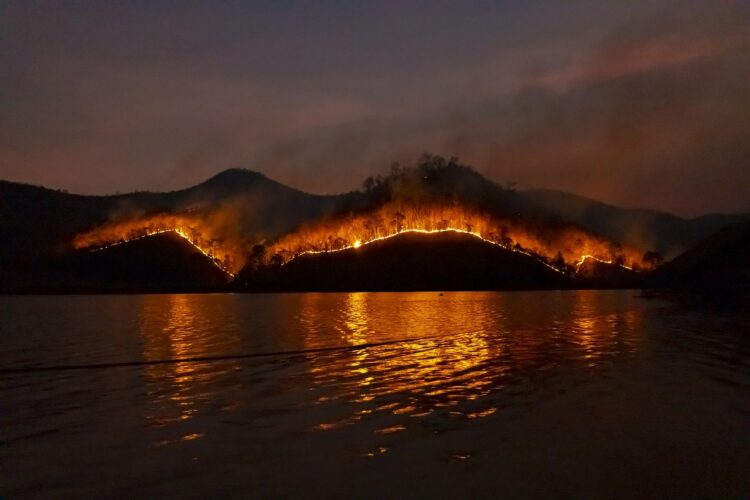 All About Forest Fires