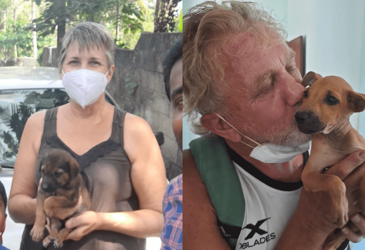 This UK Couple Left Their Hometown & Settled In India To Take Care Of Stray Dogs