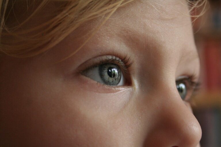 eye-784903_1280