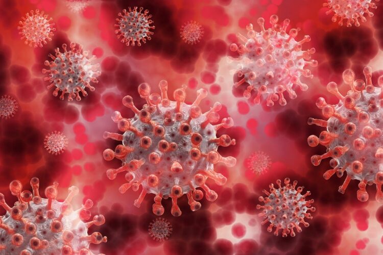 Disease Experts Warns About Not Been Done With The Virus