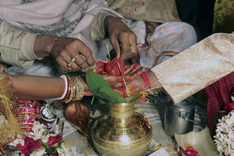 Watch This Wholesome Video Of A Couple Feeding Animals On Wedding Feast