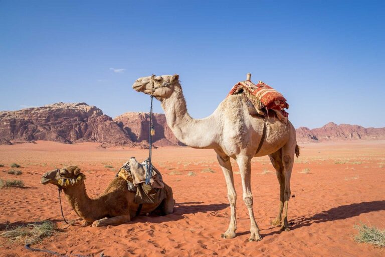 wadi-rum-1120371_1280