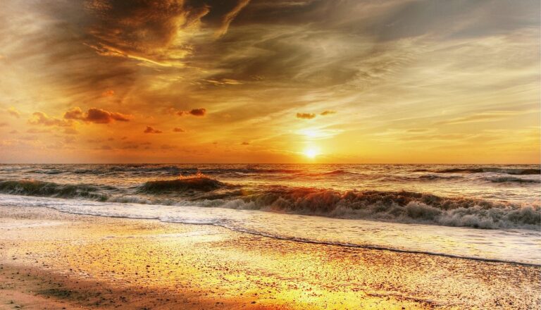 beach-2334304_1280