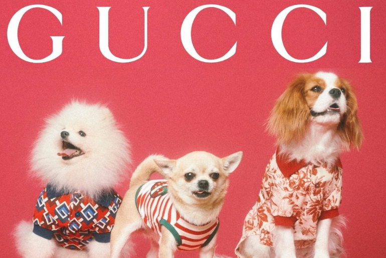 Gucci Has Launched A New Pet Collection And The Prices Are Insane!