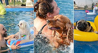 UAE’s Biggest Pool Pawty Is Coming Back This October