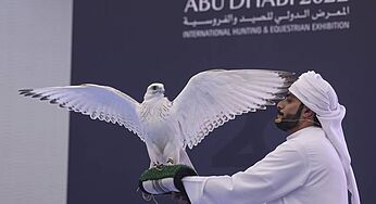 Rare ‘Pure-White’ Falcon Sells for AED 1 Mn At Abu Dhabi Hunting Exhibition