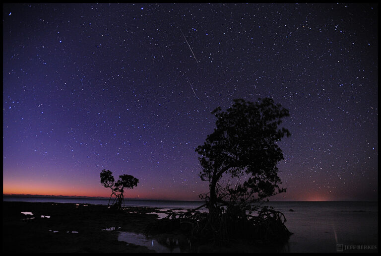 Quadrantids Meteor Shower gulf buzz