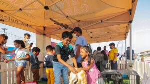 There’s A Pet Festival On Dec 10-11 At Souk Al Marfa & Everyone’s Welcome