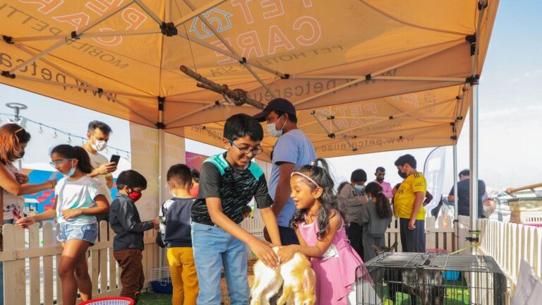pet festival