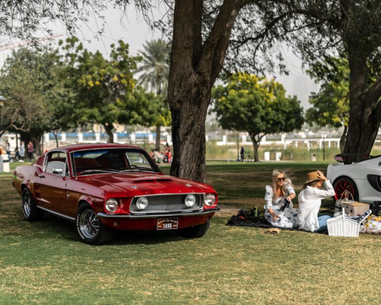 The Grand Picnic At Safa Park