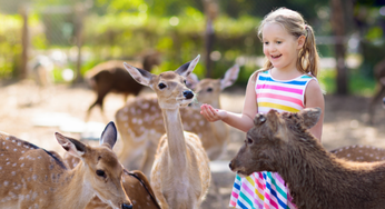 11 Zoos To Take Your Kids To For A Family Day Out In The UAE