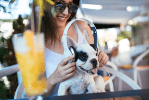 18 Pet Paradises In Dubai: Beat The Heat At These Animal-Friendly Cafes This Summer
