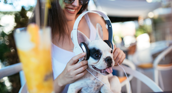 18 Pet Paradises In Dubai: Beat The Heat At These Animal-Friendly Cafes This Summer