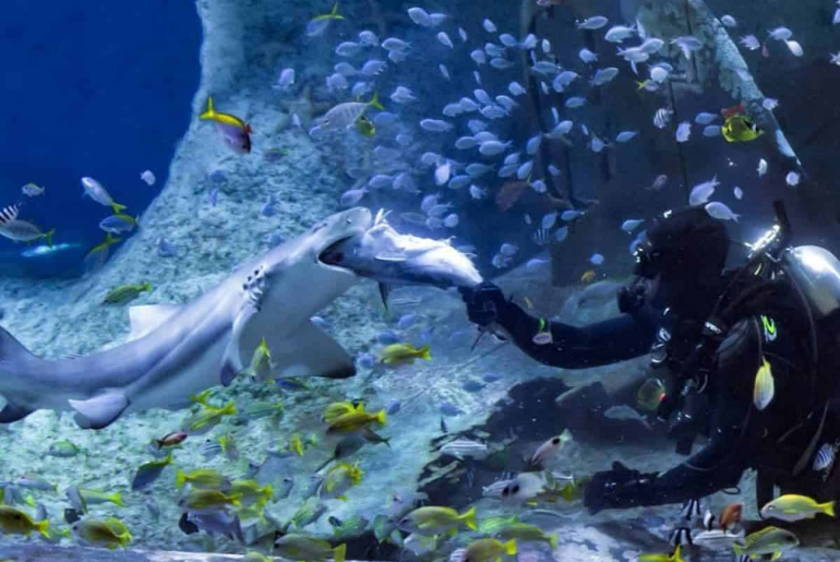 Abu Dhabi: 10 Brilliant Things To Look Forward To This July, Events, Dining, Concerts & More