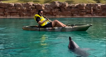 GIVEAWAY ALERT: Win A Chance To Kayak Or Paddle Board Alongside Dolphins At The Atlantis