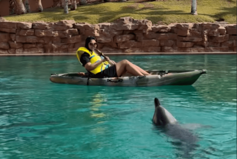 GIVEAWAY ALERT: Win A Chance For You And A Friend To Kayak Alongside Dolphin At The Atlantis