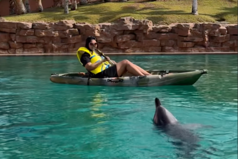 GIVEAWAY ALERT: Win A Chance To Kayak Or Paddle Board Alongside Dolphins At The Atlantis