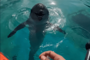 Dubai: Top 10 Things You Should Do To Celebrate The Second Last Long Weekend Of The Year