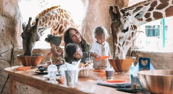 You Can Now Have Breakfast With Giraffes At This Place In Abu Dhabi