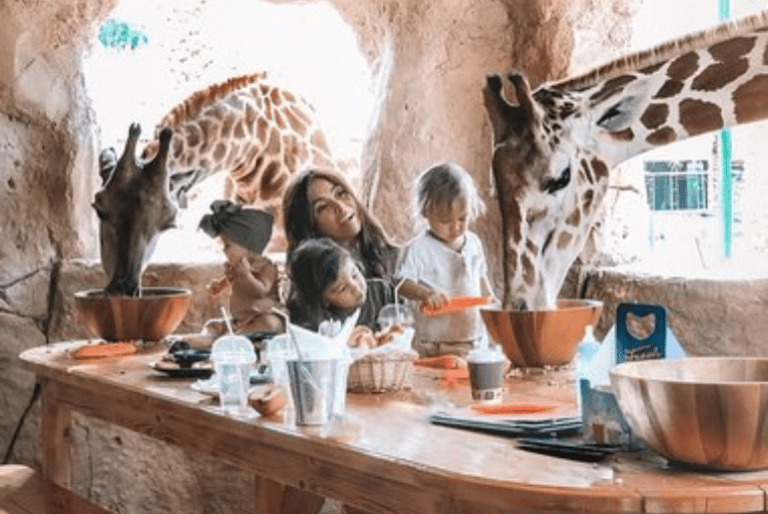 Abu Dhabi: Get Up Close And Personal With Giraffes Over Breakfast At Emirates Park Zoo And Resort