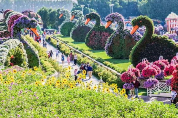 Dubai Miracle Garden Returns For Its 12th Edition – Bringing With It 150 Million Flowers