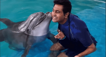 This Place Let’s You Swim, Play And Hug The Cutest Dolphins & No, It’s NOT Atlantis