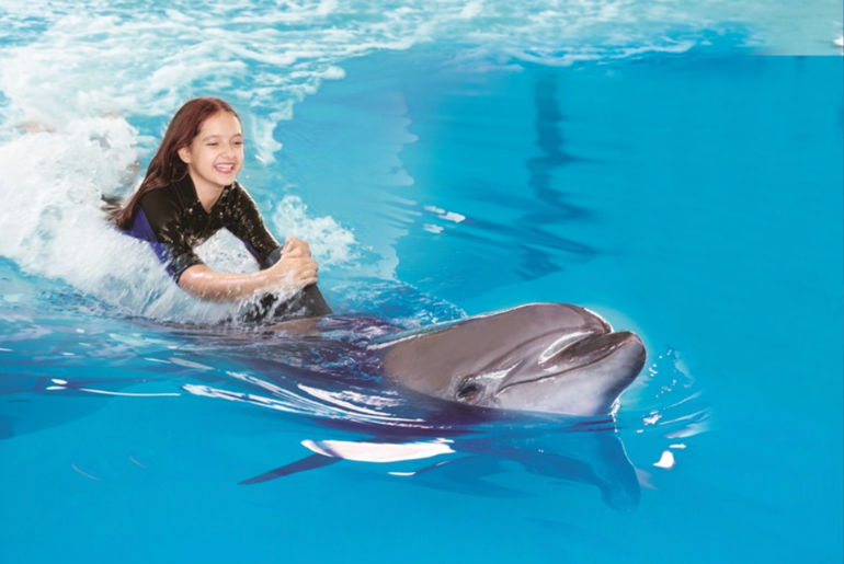 This Place In Dubai Let's You Swim, Play And Hug The Cutest Dolphins - Find Out All About It