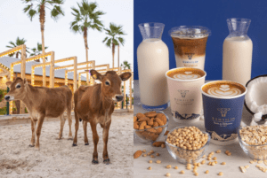 A New ‘Farm To Table’ Drive-Thru Has Opened In Dubai