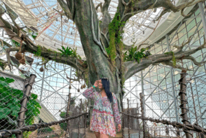 #GulfBuzzRecommends: 5 Unique Indoor Activities You Need To Try!