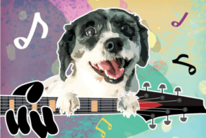 This November, Dubai’s Doggie-Centric Festival Woofstock Is Coming Back & Here’s What To Expect