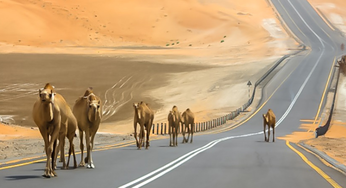 Celebrate UAE National Day’s Long Weekend With Thrilling Getaways Just Driving Distance From Dubai!
