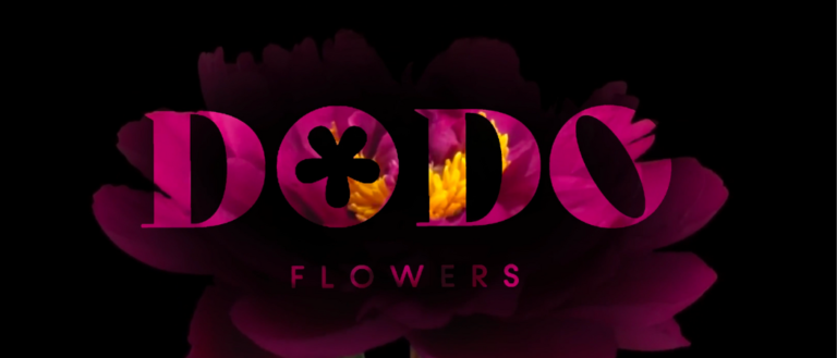 Just 4 Days Left To Get Your Hands On A Mini AED 1 Flower Bouquet From This Luxury Flower Shop