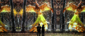 Dubai: 8 Immersive Indoor Experiences For When It Gets Too Hot Outside