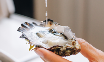 This Restaurant Is Having An Oysters Happy Hour For Just AED 10
