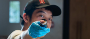 This Restaurant Is Giving Free Sushi – Find Out Here