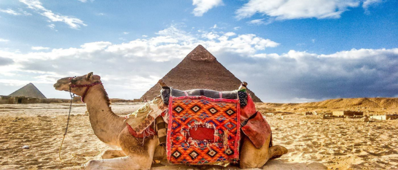 Gulf Buzz Is Giving 1 Lucky Person A Trip To Cairo From Abu Dhabi With ...