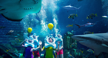 Discover All The Fun & Free Activities You Can Do During Summer Of Sharks At Aquaventure World