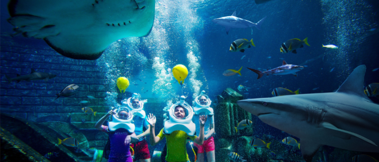 Discover All The Fun & Free Activities You Can Do During Summer Of Sharks At Aquaventure World