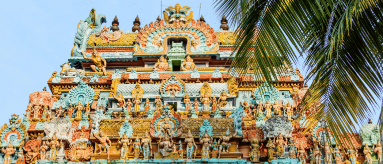 3 New Direct Flights To Major Indian Cities Announced From Abu Dhabi