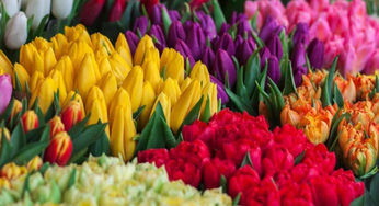 Get Bouquets From Just AED 3 At This Dubai Florist