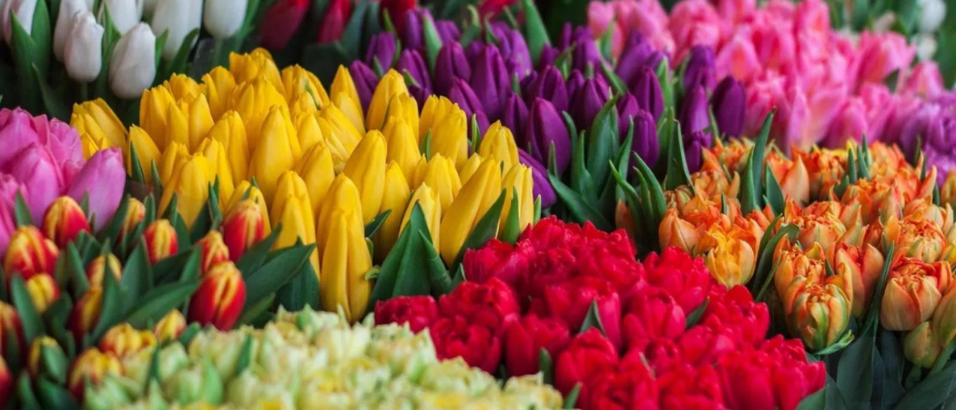 You Can Get Bouquets Starting From AED 3 At This Florist In Dubai